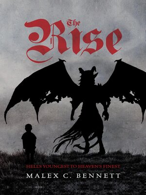 cover image of The Rise